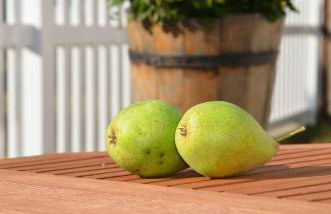 Ferienhaus Spreewiese - Foto 9