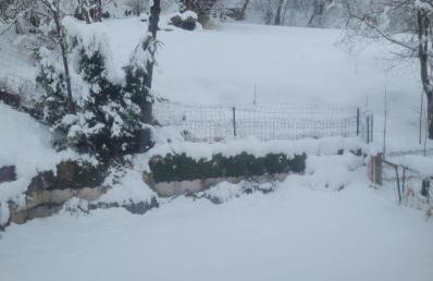 Studio et jardin - Foto 10
