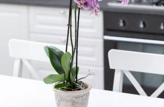 DUSSAIGA - La casa di Rina - Foto 19