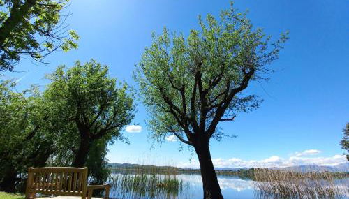 Appartamento Miralago Varese Lakefront and Garden - Foto 3, Garden, furniture