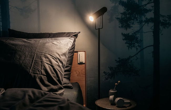 URBN Dreams - Misty Forest - Foto 5