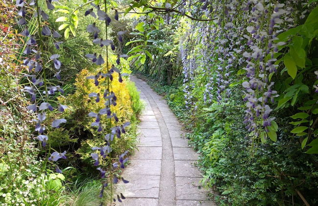 Croyde Thatchers Hideaway 2 Bedrooms - Foto 23