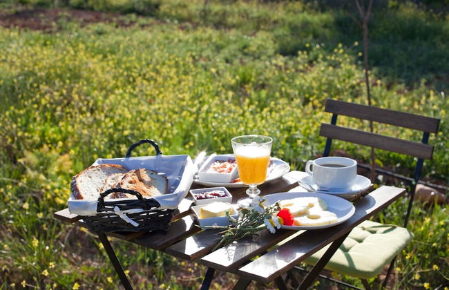 Mas de Leon - Photo 34