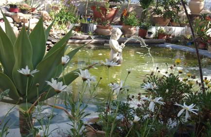 Casa Rural Mi Campo - Foto 24