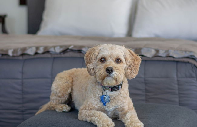 The Terrace Villas - Executive Apts - Foto 57