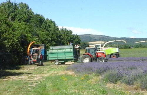 Les Cigales du Ventoux - Foto 24