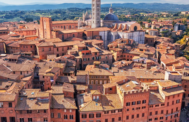 Siena Private Tour - Photo 8