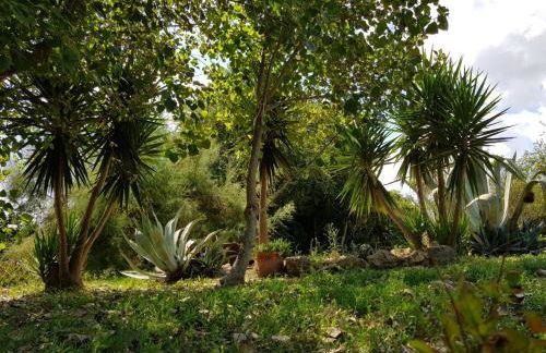 Salento LapezzaAculuri - Foto 39