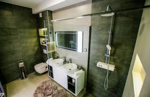 Apartmani Hiza i Vila - Foto 64