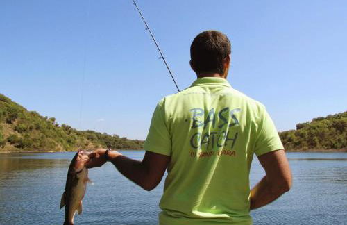 Casas de Campo do Castro da Cola - Foto 77