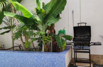 CASA EL OLIVO, TENERIFE - Foto 41