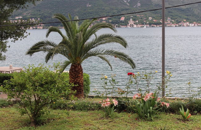 Apartments Miramar - Photo 52