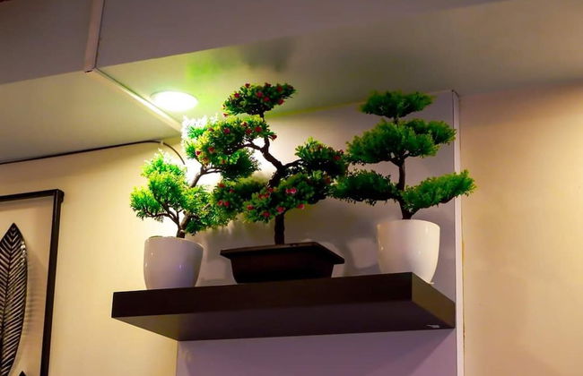 Deluxe Family Room in Tagaytay With Taal Lake View - Foto 20