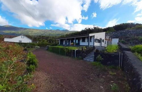 Ocean Melody - Photo 23