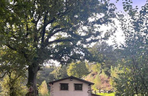 La Fontana, descubre Cabarceno y Cantabria - Foto 69