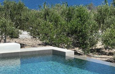 Phaos at Saint John Villas with private heated pool - Photo 88