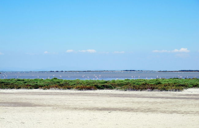 Les Maisons de la Plage - Foto 16