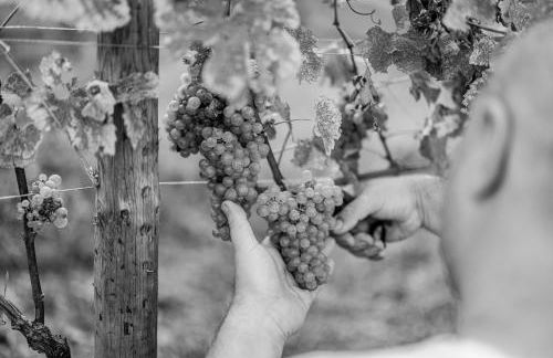 Villa Milesi in Franciacorta - Foto 55