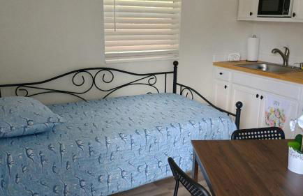 Seeing Busch Gardens from two apartments - Photo 14