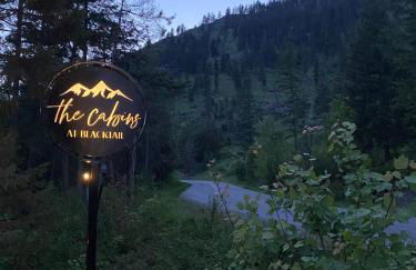 The BOAT HAUS A Montana Tiny Cabin Forest Retreat - Foto 35