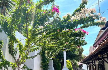 Ostraco Siviri - Foto 21