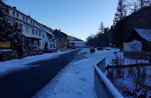 Spacious Apartment in Upper Harz near River - Foto 68