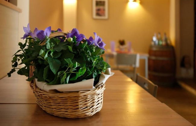 Locanda San Rocco - Foto 31