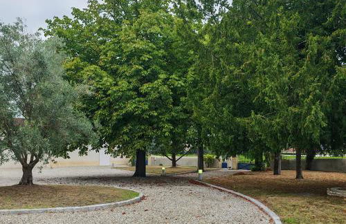 Chez Vieux Château Landon - Foto 10