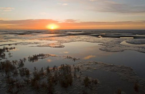 Charming Countryside Retreat Fast Wifi - Photo 23