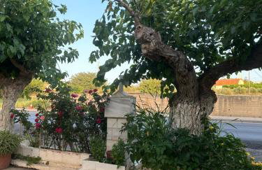 Eutixias House - Photo 29