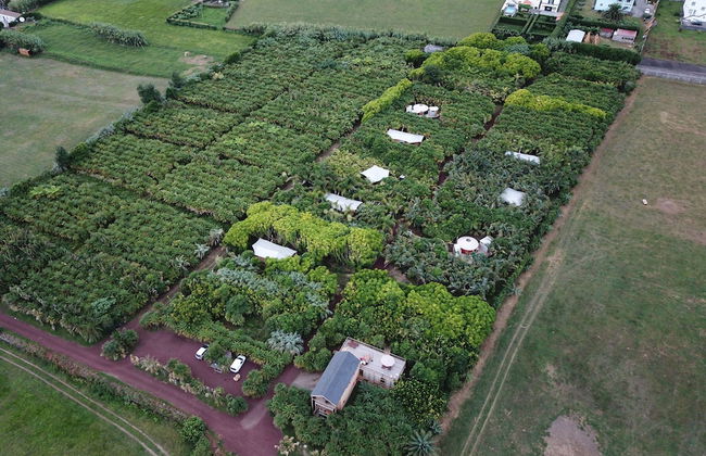 Azul Singular - Foto 50