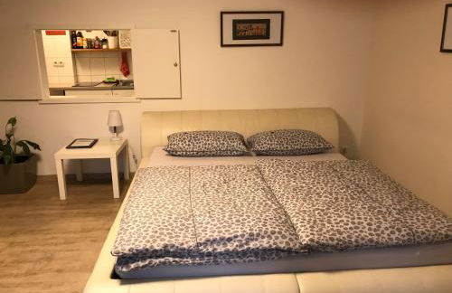 Studio-Apartment Nähe Erlangen/Herzogenaurach - Foto 8