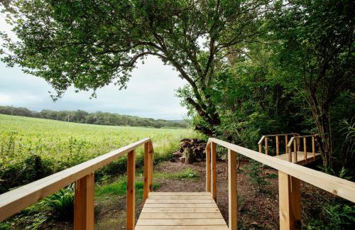 Orchard Cottage - Rudge Farm Cottages - Foto 46