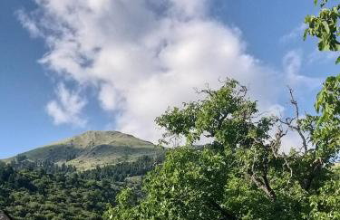 Το Σπίτι της Ευτυχίας Σουίτα - Foto 4