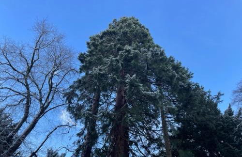 Limefield Mansion House - Foto 53