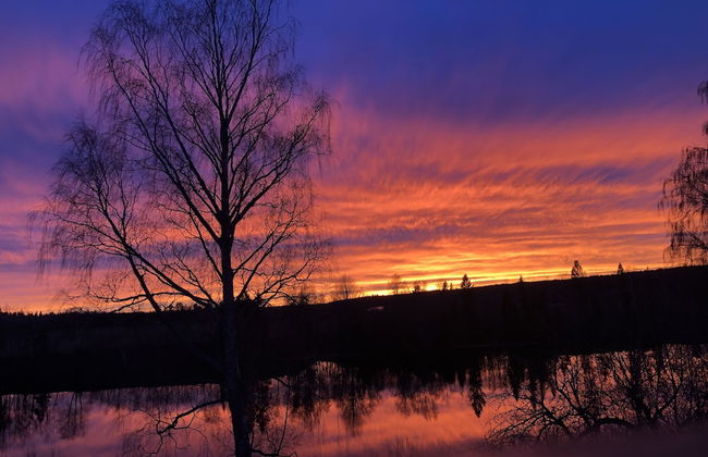Apple Tree Cabin With River Views - Foto 23