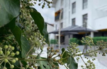 Zuia Suites - Foto 43