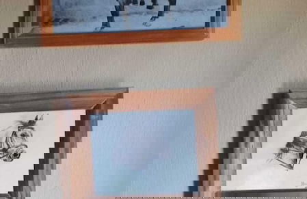 Natures Green Resort and Spa - Foto 48