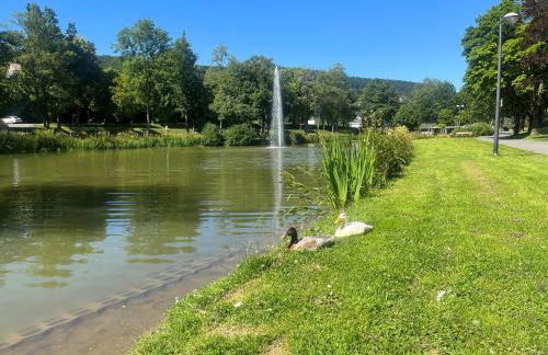 Haus Schmitten - Foto 34