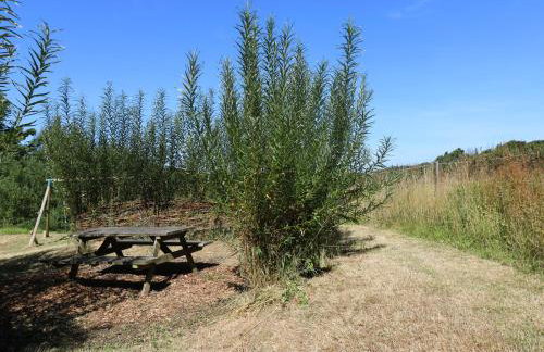 Honeycrock - Foto 25