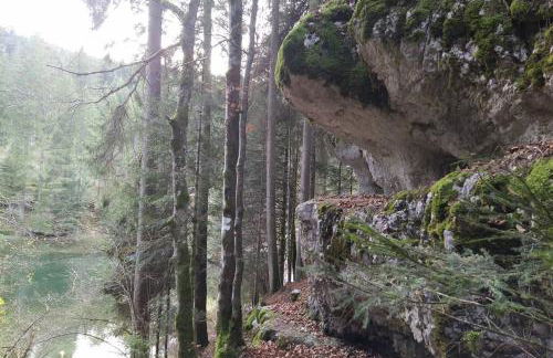 Gîte du Fourpéret-Parc Naturel du Haut-Jura - Foto 28