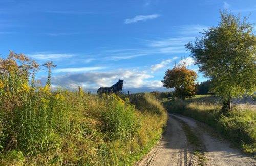 Feel-Harmonia w Nowym Kawkowie - Foto 33