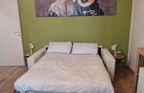 ongi Etorri b&b- Ripamonti,tram 24 per IEO, Policlinico, Fondazione Prada,Duomo - Foto 5