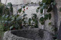 Casa do Forno da Aldeia - Serra da Estrela - Foto 62