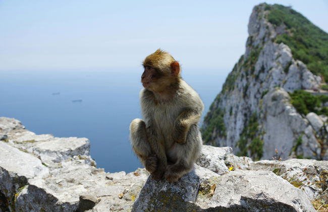 Gibilterra Tour di Fuengirola - Foto 3