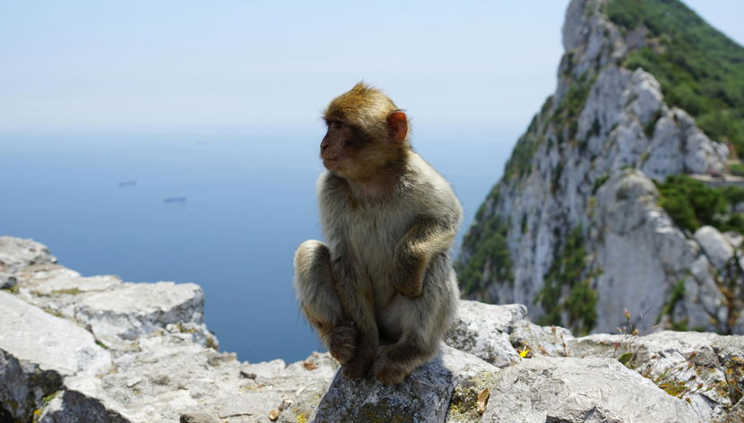 Visita Gibraltar desde Fuengirola - Foto 3