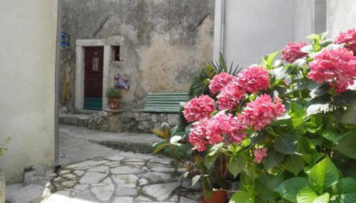 Apartman DEJO - Foto 5