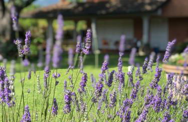 Casa "Le Rondinelle" - Foto 30