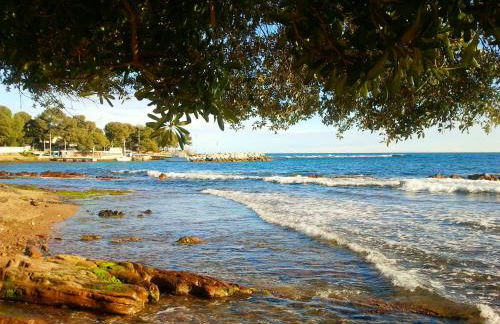 Résidence Golfs de Valescure 9 - Foto 62