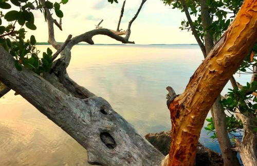 Island Paradise Awaits You - Foto 70